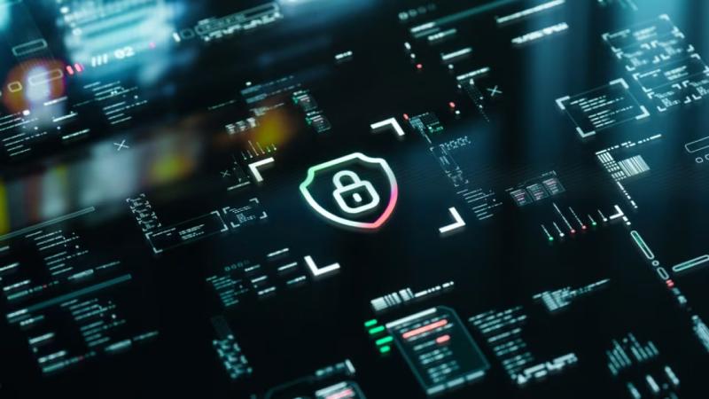 拉萨软件开发公司